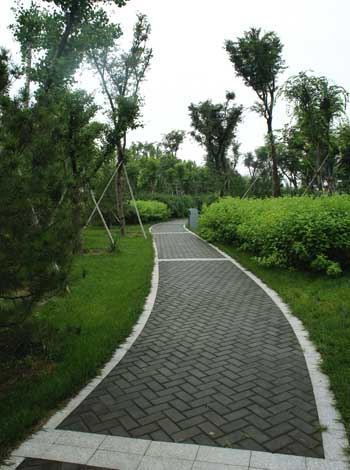 彩运网(中国游)官方网站