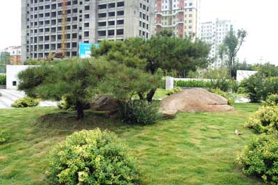 彩运网(中国游)官方网站