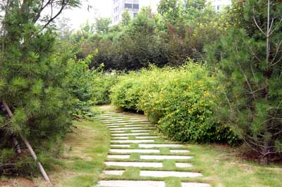 彩运网(中国游)官方网站