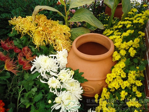 彩运网(中国游)官方网站