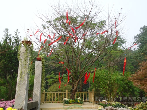 彩运网(中国游)官方网站