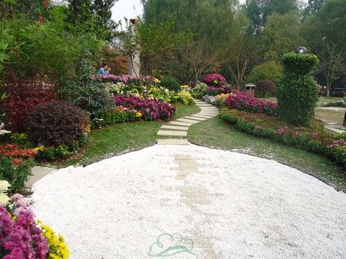 彩运网(中国游)官方网站