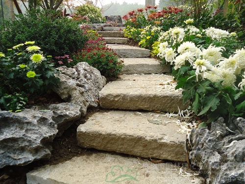 彩运网(中国游)官方网站