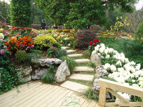 彩运网(中国游)官方网站