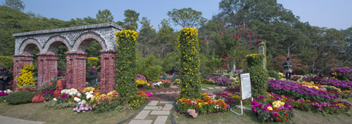 彩运网(中国游)官方网站