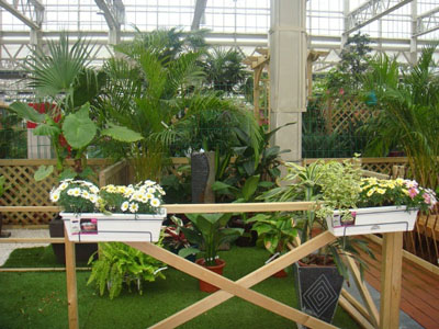 彩运网(中国游)官方网站