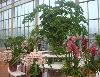 彩运网(中国游)官方网站