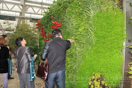 彩运网(中国游)官方网站