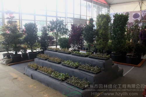 彩运网(中国游)官方网站