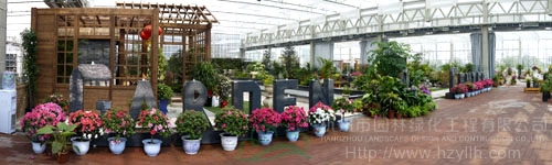 彩运网(中国游)官方网站