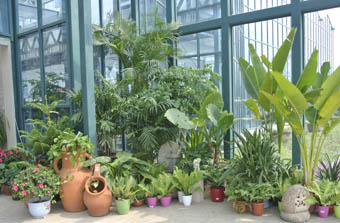 彩运网(中国游)官方网站