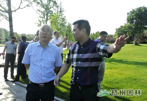 彩运网(中国游)官方网站