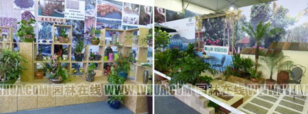 彩运网(中国游)官方网站