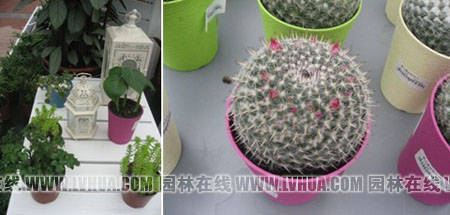 彩运网(中国游)官方网站