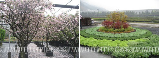 彩运网(中国游)官方网站