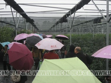 彩运网(中国游)官方网站