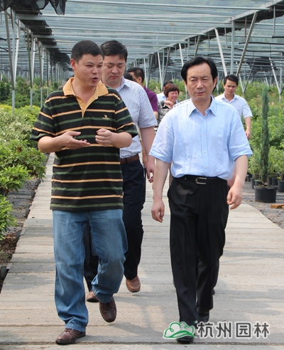 彩运网(中国游)官方网站