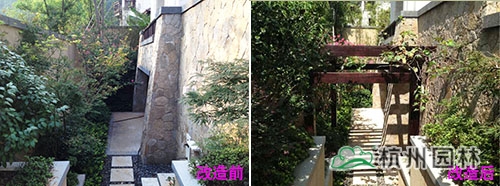 彩运网(中国游)官方网站