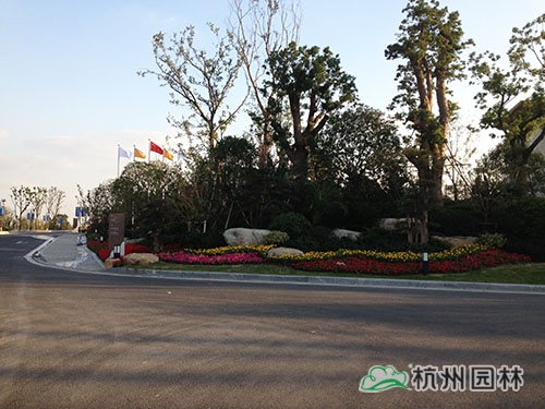 彩运网(中国游)官方网站