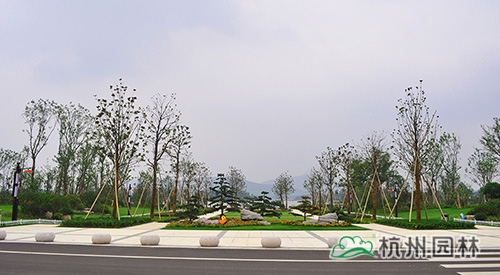 彩运网(中国游)官方网站