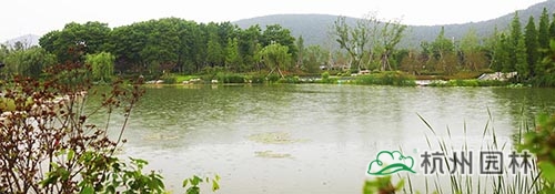 彩运网(中国游)官方网站