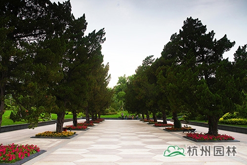 彩运网(中国游)官方网站