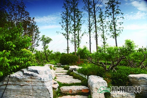 彩运网(中国游)官方网站