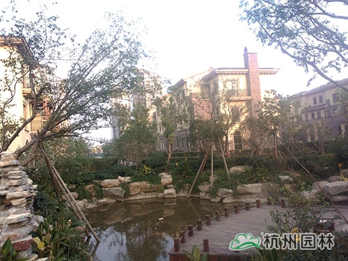 彩运网(中国游)官方网站