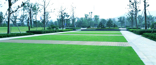 彩运网(中国游)官方网站