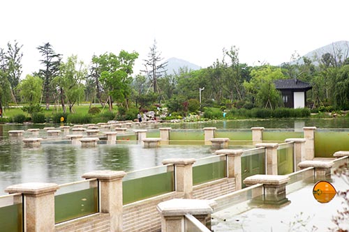 彩运网(中国游)官方网站