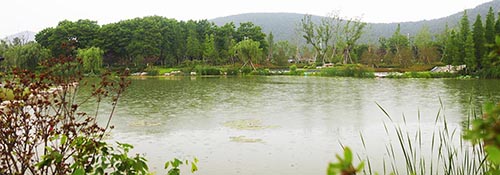 彩运网(中国游)官方网站