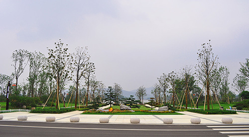 彩运网(中国游)官方网站