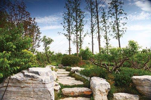 彩运网(中国游)官方网站