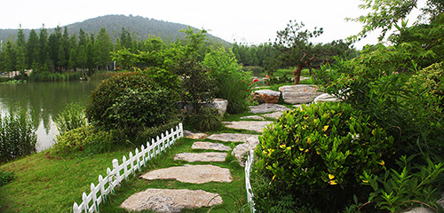 彩运网(中国游)官方网站