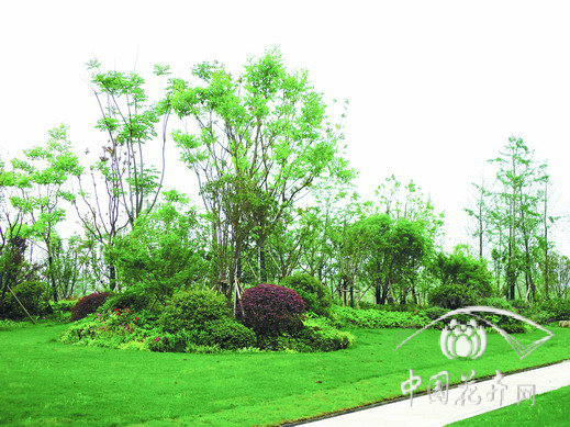 彩运网(中国游)官方网站