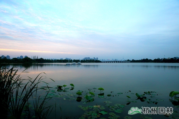 彩运网(中国游)官方网站