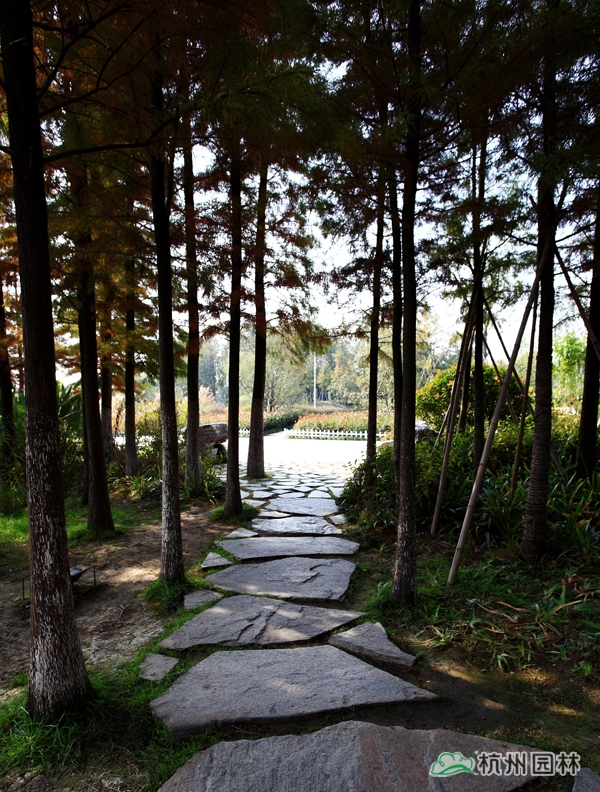 彩运网(中国游)官方网站