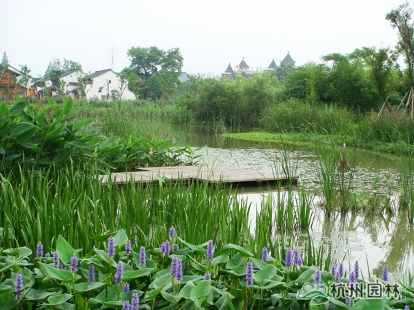 彩运网(中国游)官方网站