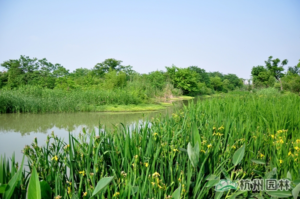 彩运网(中国游)官方网站