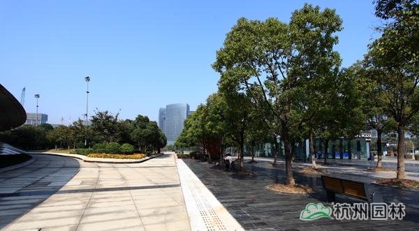 彩运网(中国游)官方网站