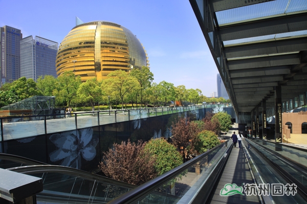 彩运网(中国游)官方网站