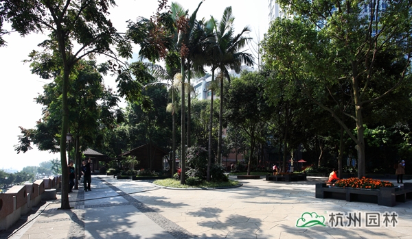 彩运网(中国游)官方网站