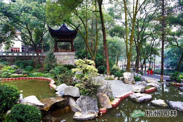 彩运网(中国游)官方网站