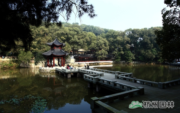 彩运网(中国游)官方网站