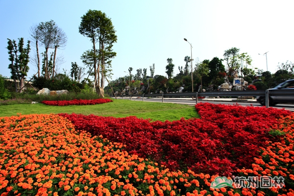 彩运网(中国游)官方网站