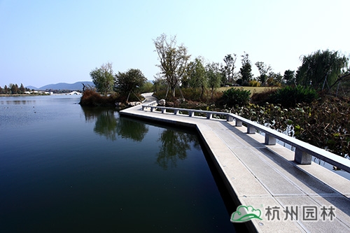 彩运网(中国游)官方网站