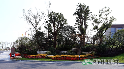 彩运网(中国游)官方网站