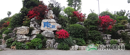 彩运网(中国游)官方网站