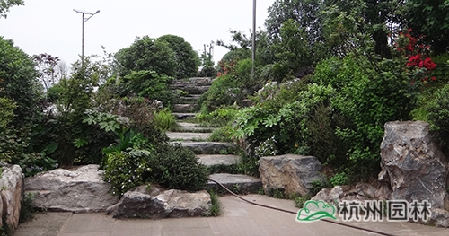 彩运网(中国游)官方网站