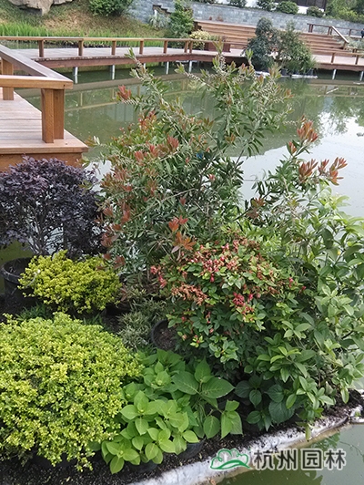 彩运网(中国游)官方网站